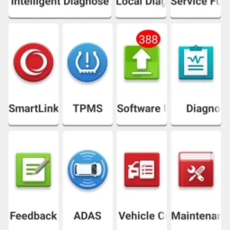 1 year update Diagzone pro software